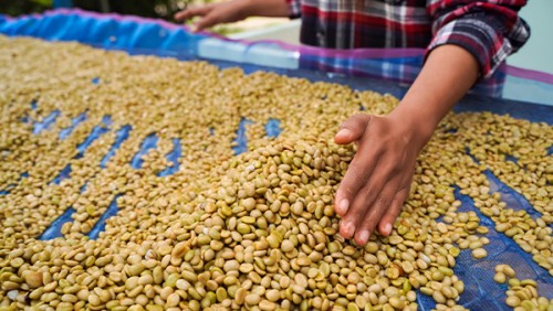 Ucuz Kahve, Neden Pahalıdır!