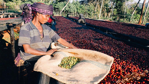 Etiyopya'da Başlayan Yolculuk..